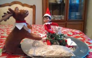 Ginger, our Elf On A Shelf, was a little naughty the other day with Cinnamon, her pet reindeer.